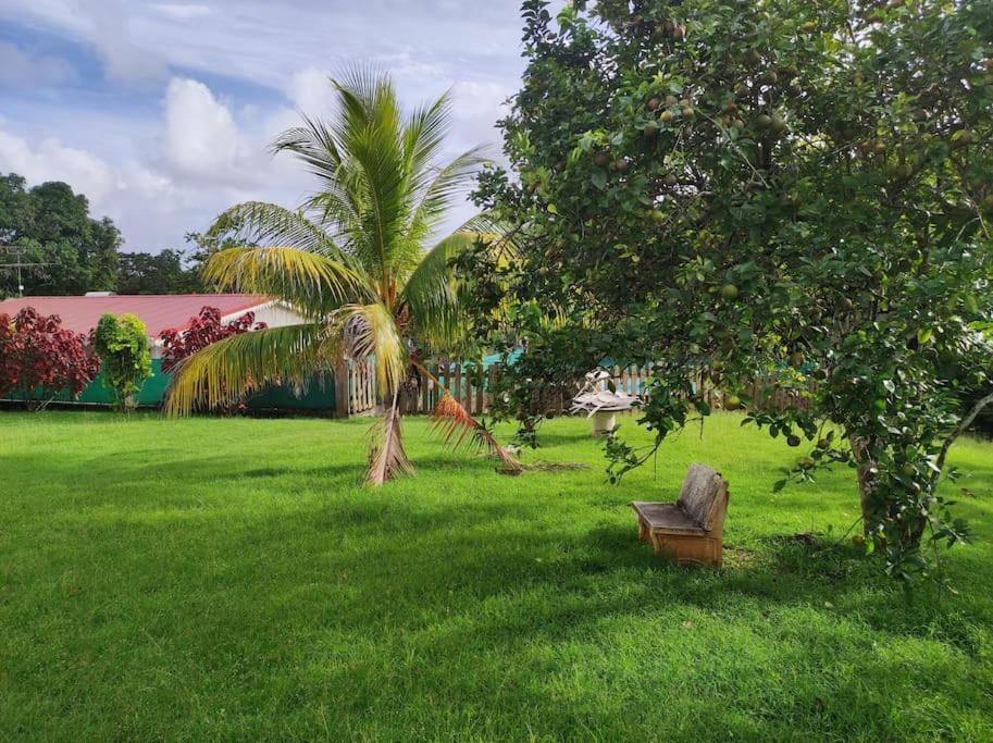Villa Familiale Avec Piscine Le Marin Esterno foto